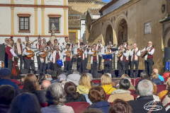 hyc-cordoba-16
