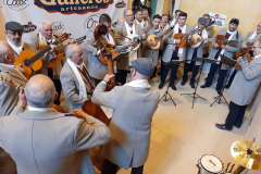 Imagen-de-WhatsApp-2024-12-15-a-las-14.22.52_9ef3bfd9r