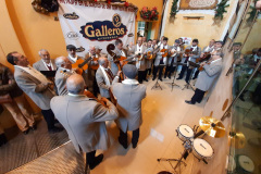 Imagen-de-WhatsApp-2024-12-15-a-las-14.22.53_2c0d067cr