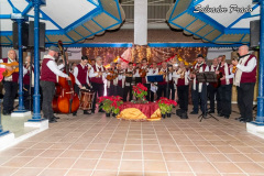 Imagen-de-WhatsApp-2024-12-22-a-las-16.58.36_c2a77c89r