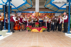 Imagen-de-WhatsApp-2024-12-22-a-las-16.58.37_04ce97dar