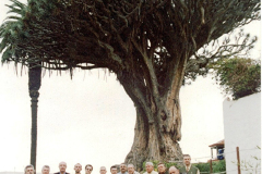 Hogueras-y-Candiles-20